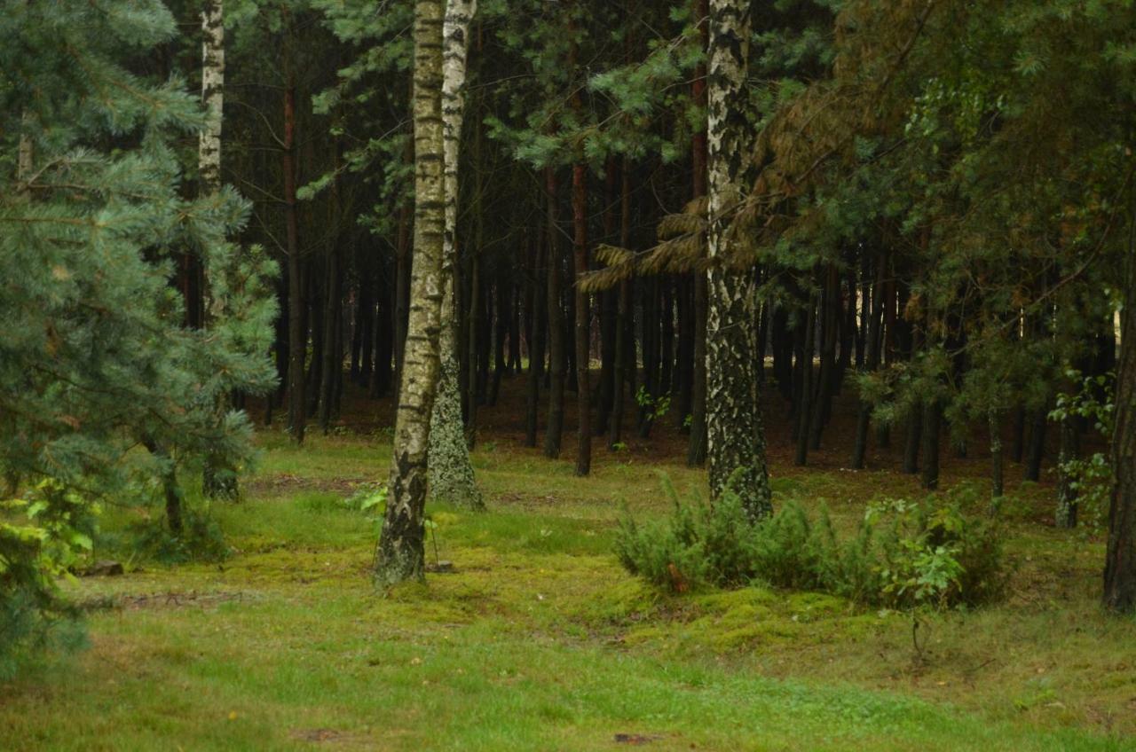 Zofijowka Villa Osjakow Bagian luar foto