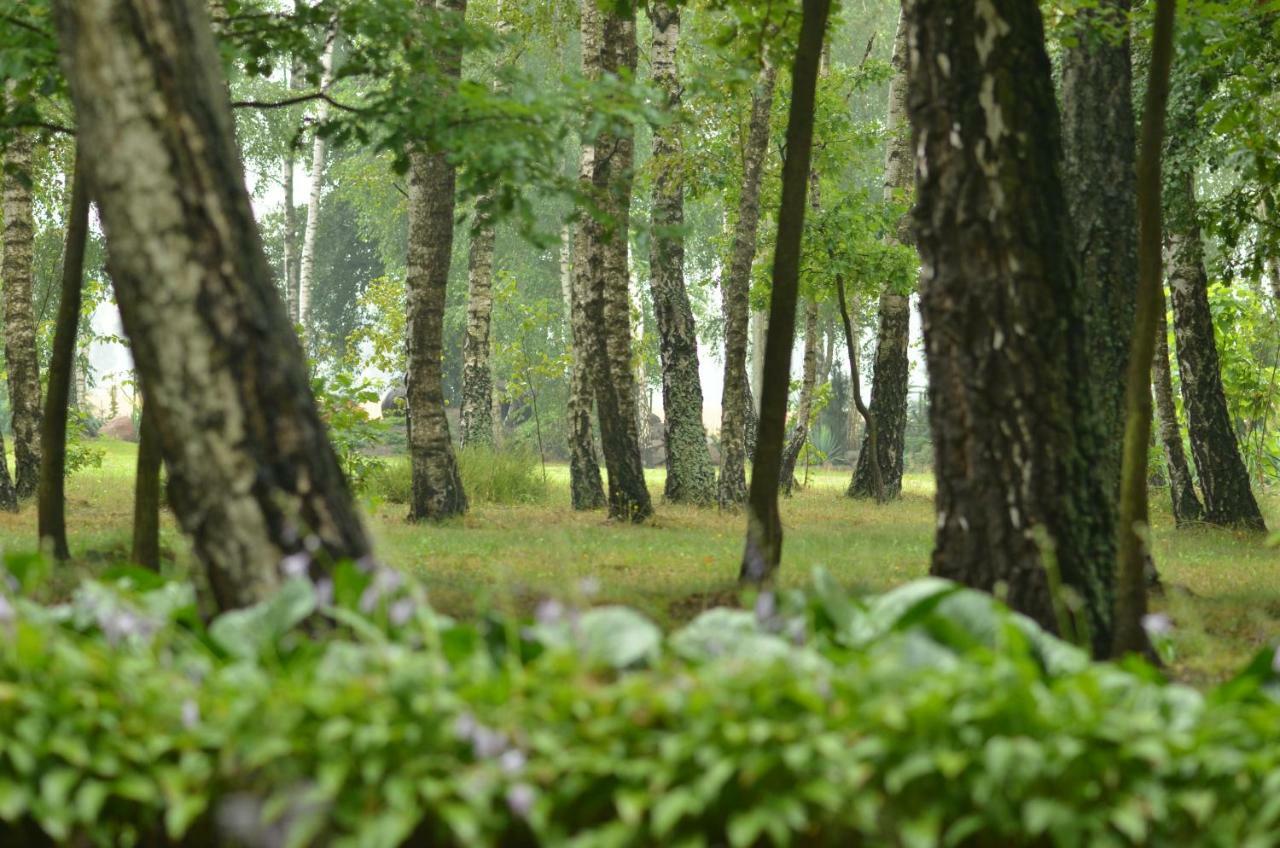 Zofijowka Villa Osjakow Bagian luar foto